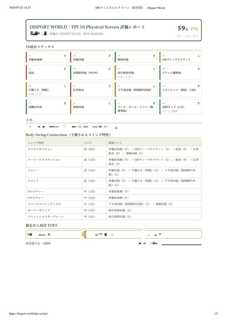 レポート1ページ目：16項目の判定