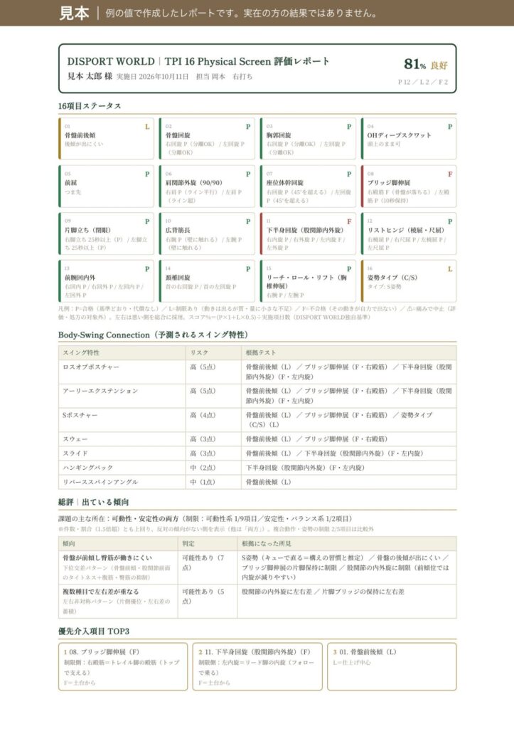 見本の1ページ目：16項目の判定（例の値で作成）