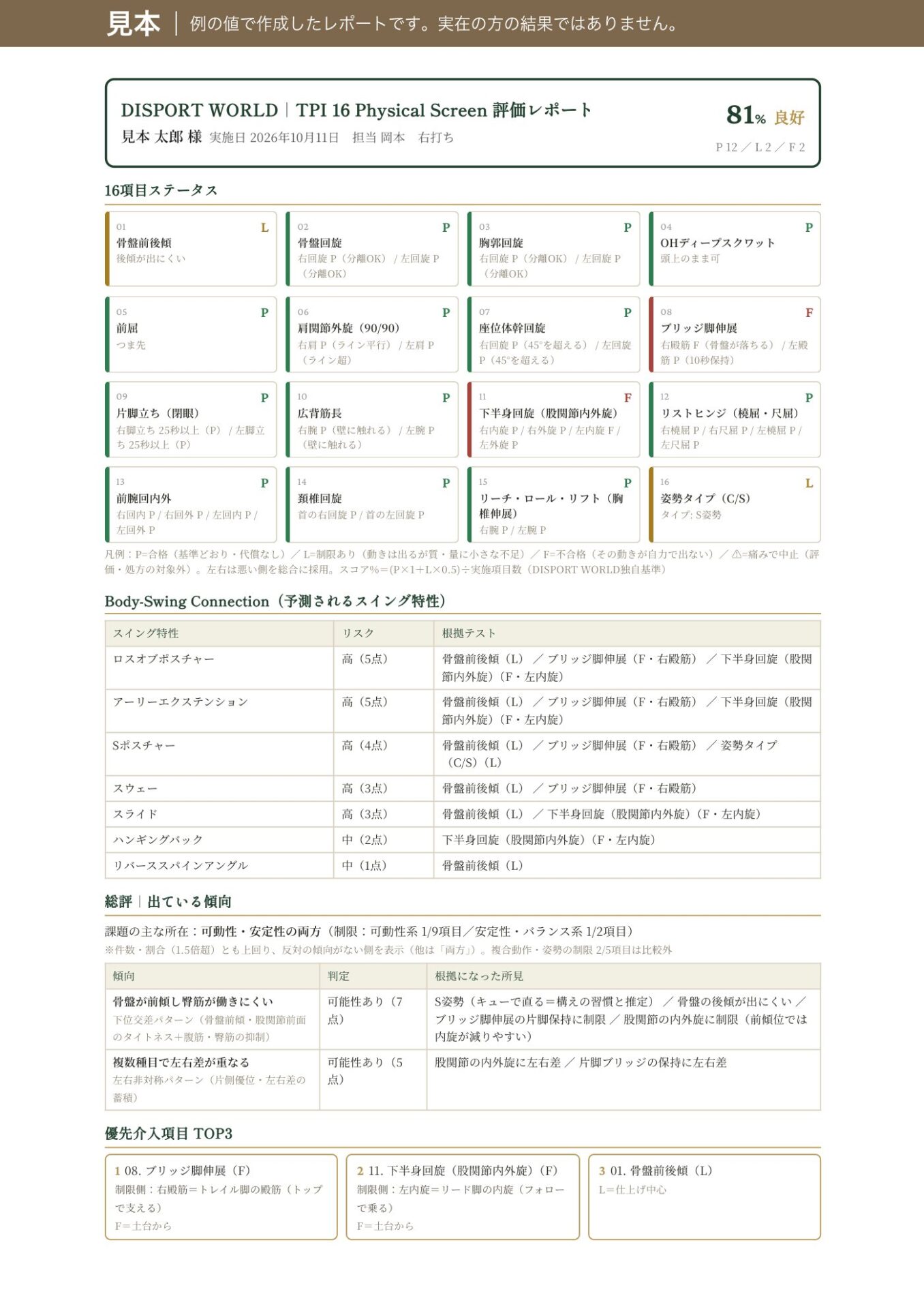 見本のレポート（例の値で作成・実在の方の結果ではありません）の上部。16項目のP／L／Fの判定が並ぶ