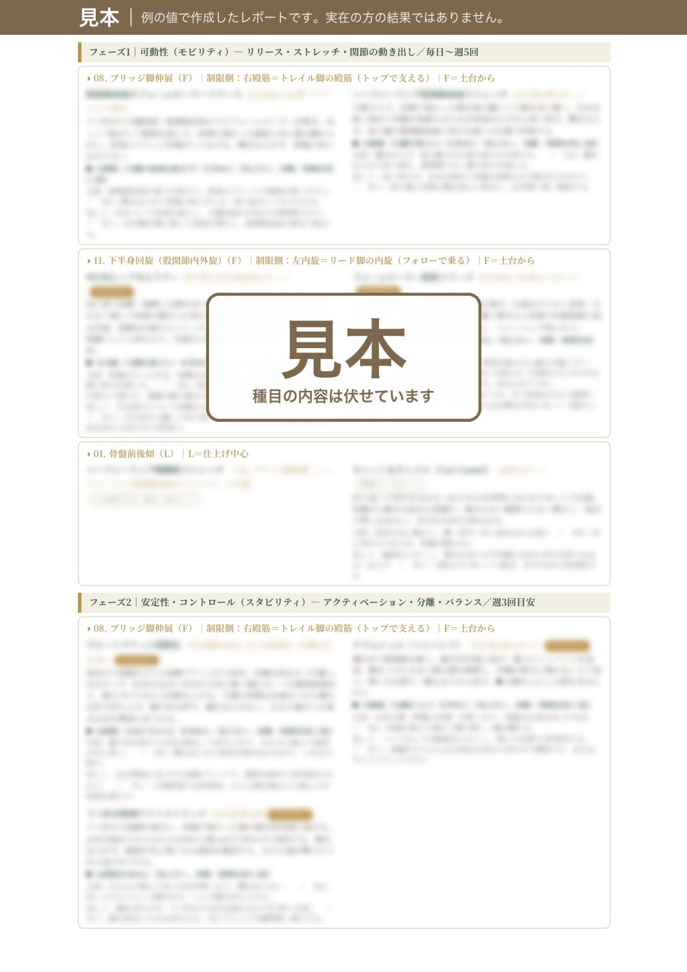 プログラムのページの見本（例の値で作成）。フェーズ1 モビリティ（可動性）と、フェーズ2 スタビリティ（安定性）の始めに、制限が出た項目ごとの種目が並ぶ（種目の内容はぼかしている）